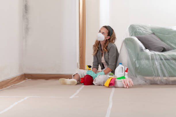Reliable Mold Remediation contractor in Alderwood Manor, WA by 24 Hour Mold Removal
